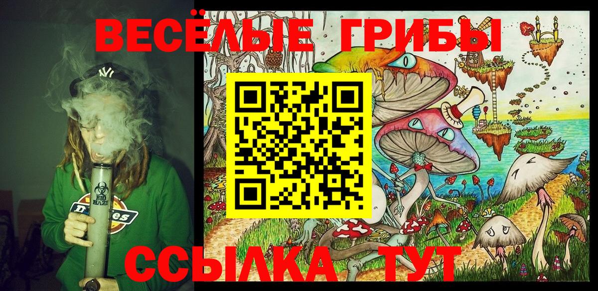 Псилоцибиновые грибы MAGIC MUSHROOMS Назрань