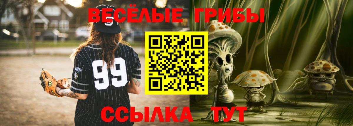 Назрань  Галлюциногенные грибы Psilocybine cubensis  Вход с VPN  Псилоцибиновые грибы мухоморы 